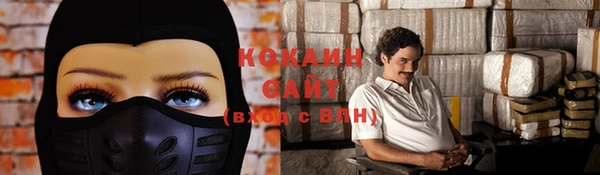 индика Пестово